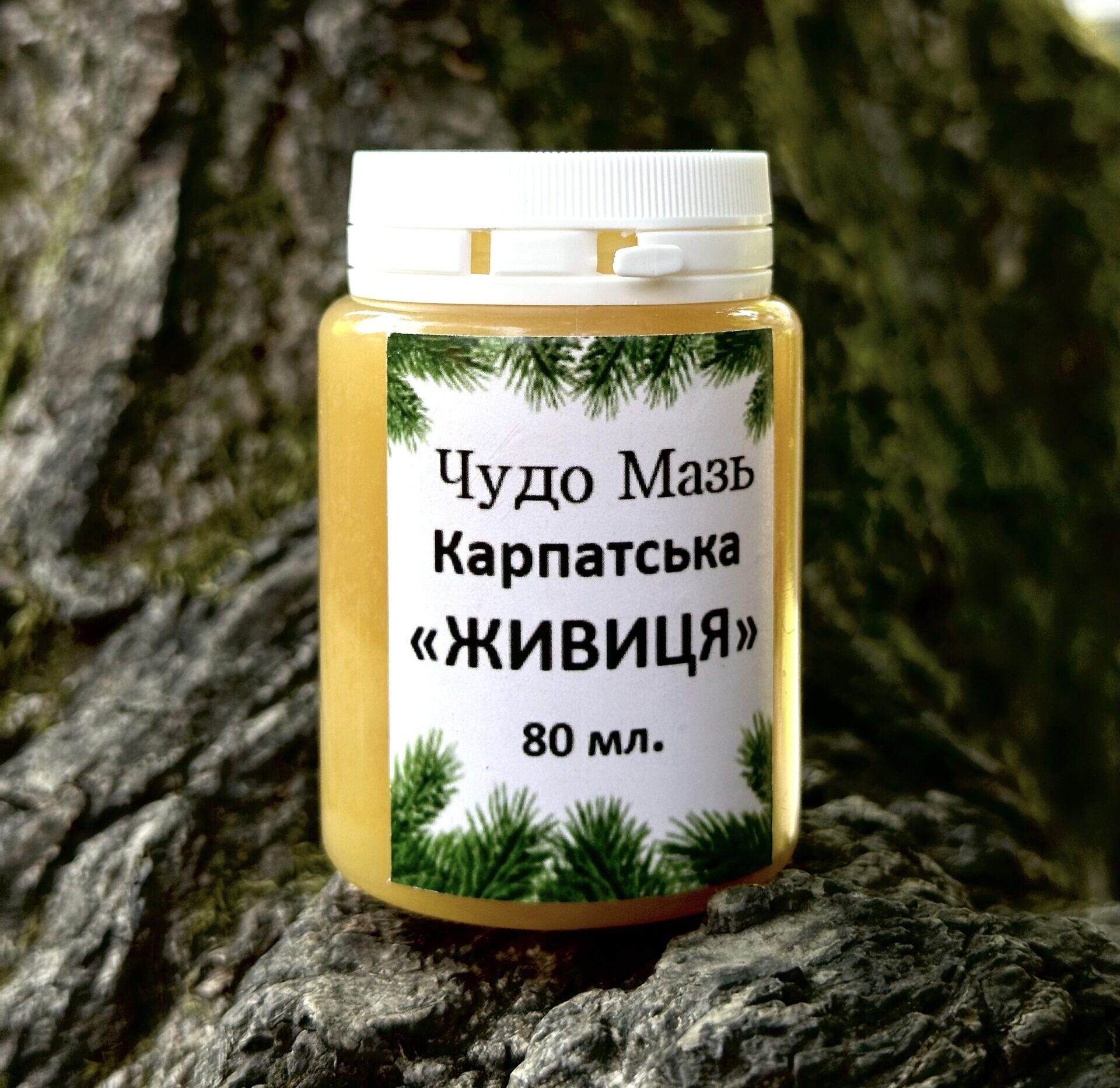 Карпатська Живиця